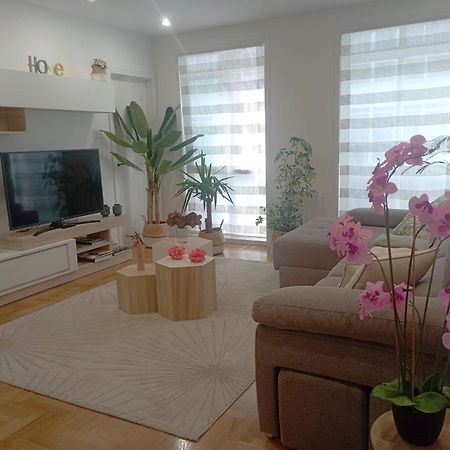 Super Apartamento Santiago Santiago de Compostela Eksteriør billede